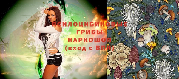 дурь Нефтекумск