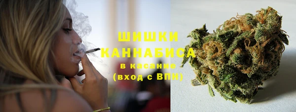 сатива Аркадак