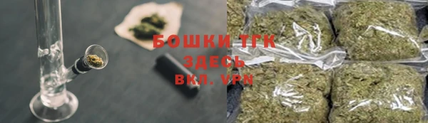 сатива Аркадак
