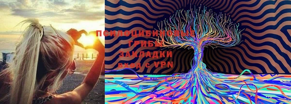 экстази Арсеньев