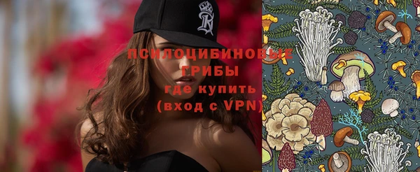 экстази Арсеньев