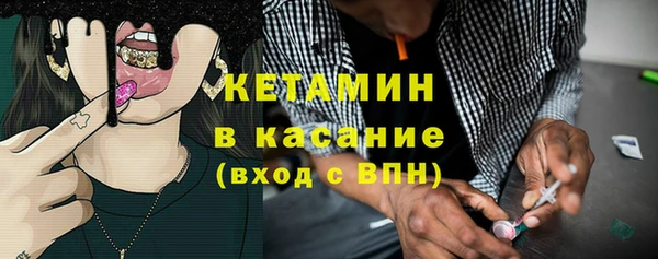 сатива Аркадак