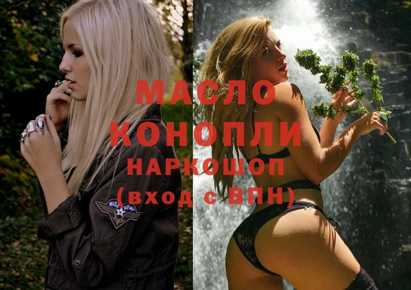 сатива Аркадак