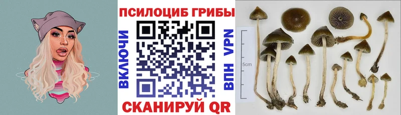 дарнет шоп  Тара  OMG рабочий сайт  Галлюциногенные грибы Cubensis 